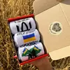 Бокс мужских патриотических носков с украинской символикой 40-45 3 пары в подарочной коробке весна-осень Белые